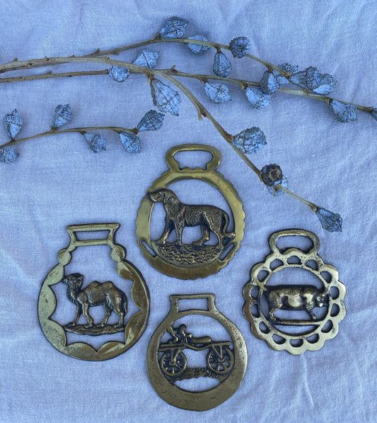 horse brasses