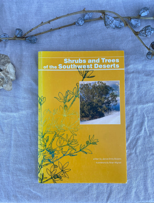 shrubs and trees of the southwest deserts